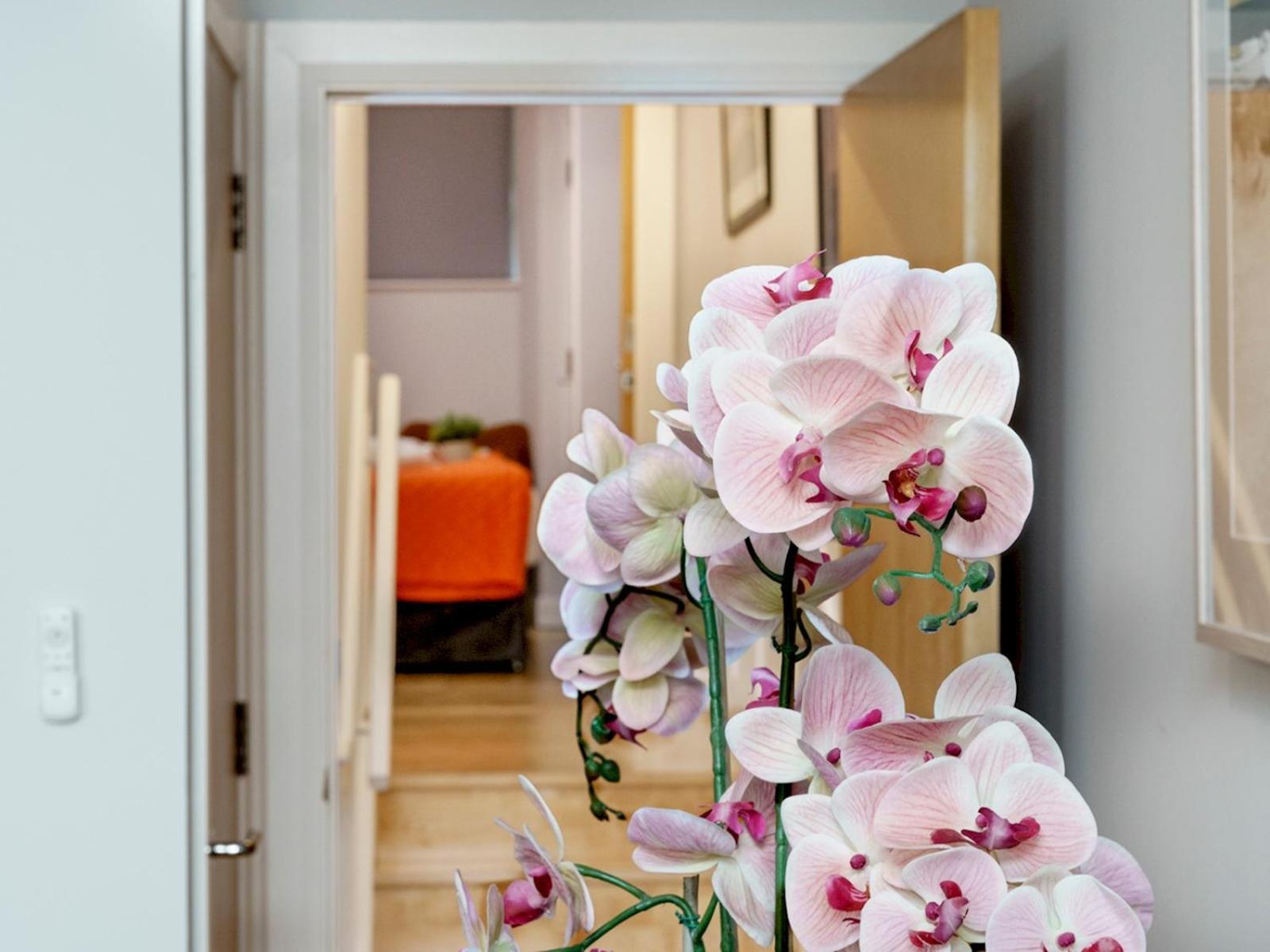 The Linen Mill Apartment Pass The Keys Белфаст Екстериор снимка